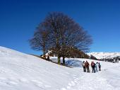 33 Il paesaggio e' ora quasi completamente innevato